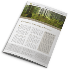 [Front cover] Factsheet: Investing in forestry