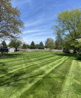 Stylish living room with fireplace, sofa, armchair, and wooden ceiling beams.