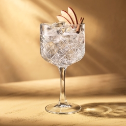 Cocktail Desert Rose Gin Tonic