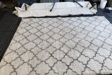 Rug Decontamination