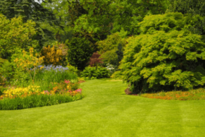 Landscaping Services