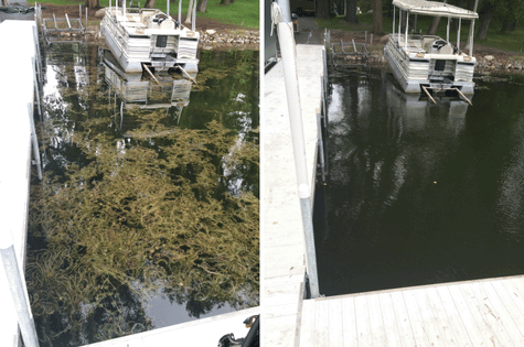 Lake weed removal Before & After
