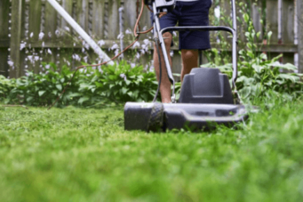 Lawn Mowing Service