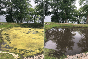 Pond Cleaning