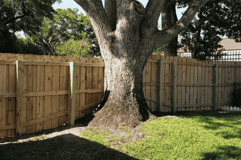 Yard Fence