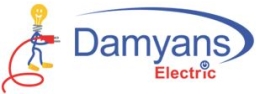 Damyans Electric