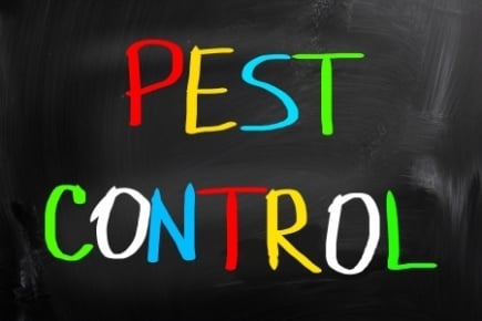 Pest Control Service