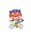 Racoon biking