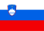 Slovenia flag