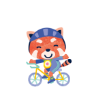 Racoon biking