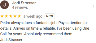 one call detailing review 2