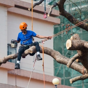 auto detailing service