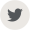 Twitter icon