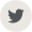 Twitter icon