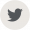 Twitter icon