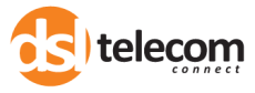 Logo of DSL Telecom, a leading software, technology, sales and marketing company.