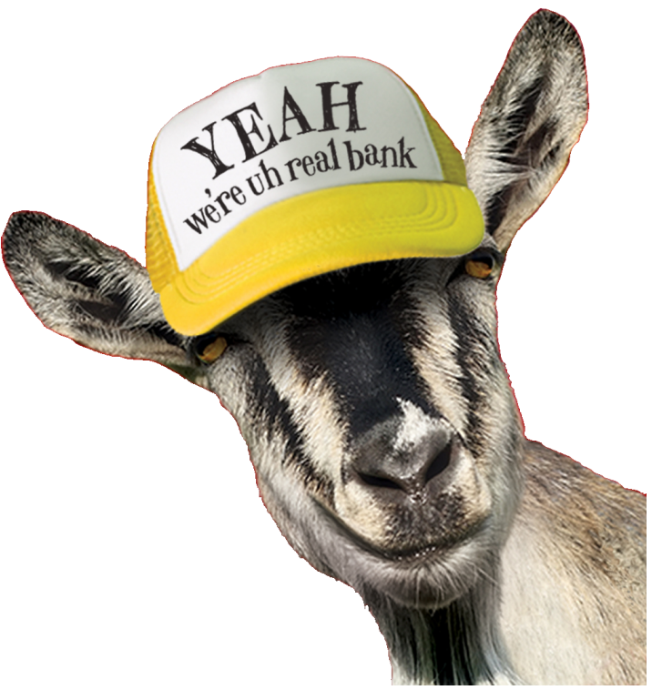 goat with hat that reads Yeah we're uh real bank
