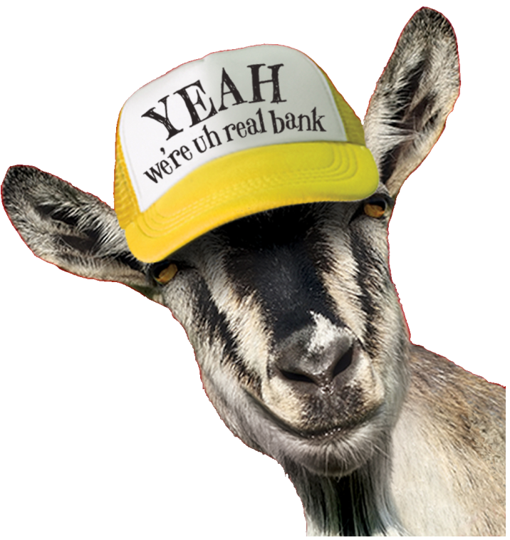 goat with hat that reads Yeah we're uh real bank