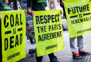 Whale and her calf in The Great Australian Bight