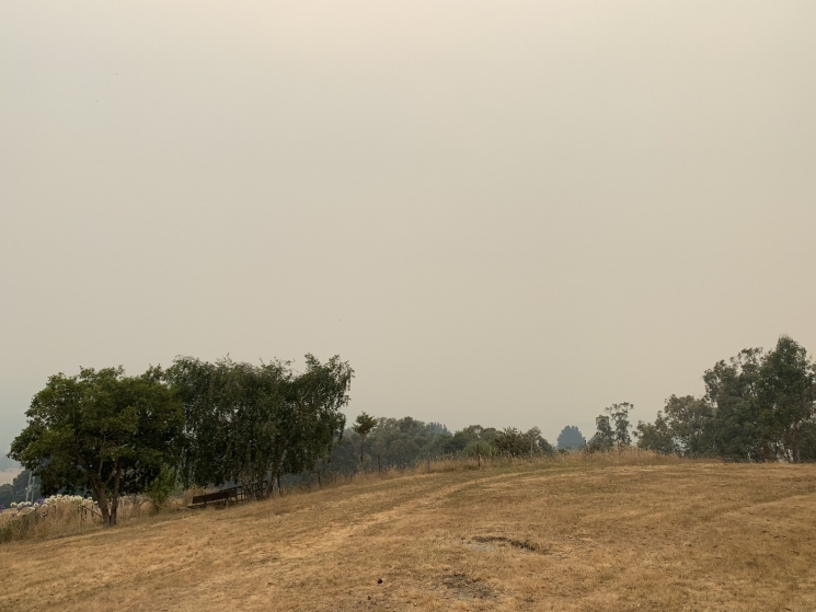 greedy oil companies