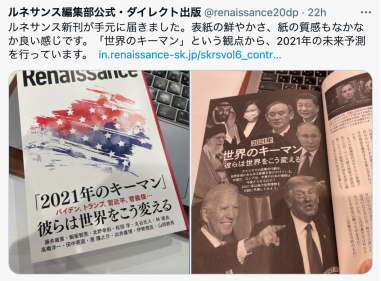 ルネサンス14冊セット　ダイレクト出版 ルネサンス14冊セット ダイレクト出版 ルネサンス14冊セット