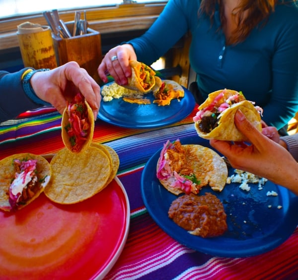 Holding tacos