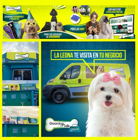 diseño grafico de catalogo de productos