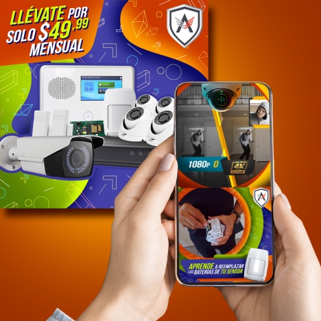 diseño grafico de catalogo de productos