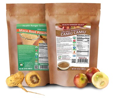 health ranger store maca root powder and camu camu powder group