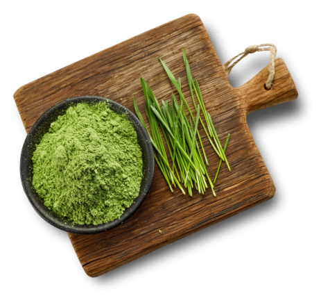 wheat grass + powder