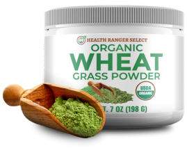 organic wheat grass powder