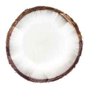 coconut 