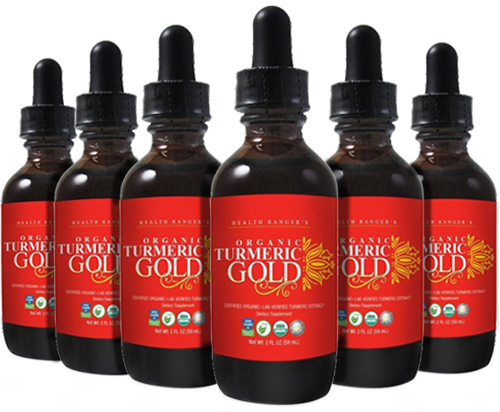 6-PACK OF ORGANIC TURMERIC GOLD