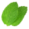 mint leaves