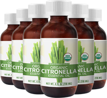 Organic Citronella Essential Oil x6