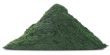 chlorella powder