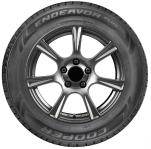 Cooper Endeavor Plus