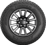 Discoverer Stronghold AT