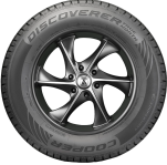 Discoverer True North