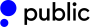 Public-logo