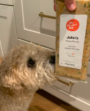 Group of four happy dogs on stone steps wearing green collars with activity trackers: curly brown-gold Labradoodle lying down, fluffy white Bichon Frise smiling, cream Goldendoodle standing, and large Bernedoodle grinning.