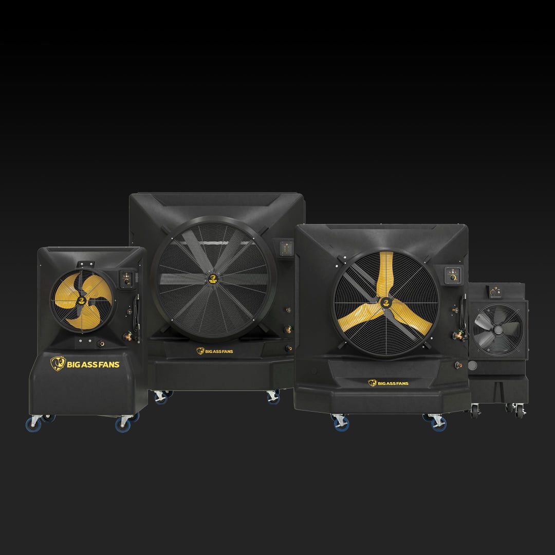 Abstract pink and purple ribbon shapes on a dark blue background