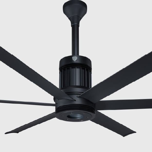 Abstract deep blue layered petal-like curves on a dark background