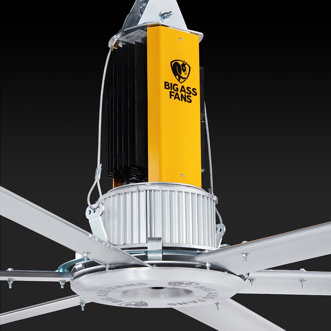 Abstract pink and purple ribbon shapes on a dark blue background