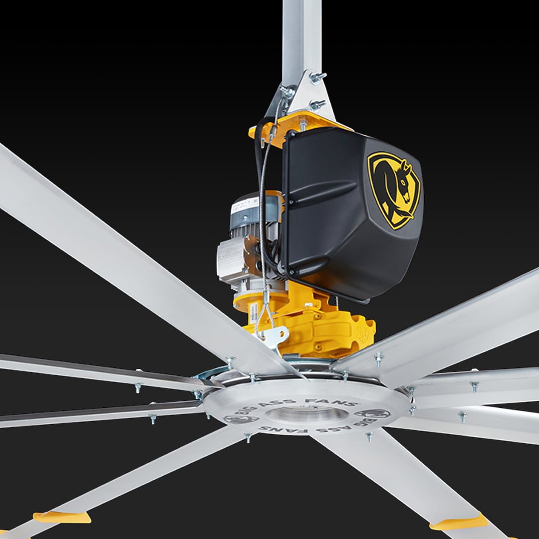 Abstract pink and purple ribbon shapes on a dark blue background