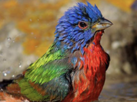 South Llano River State Park