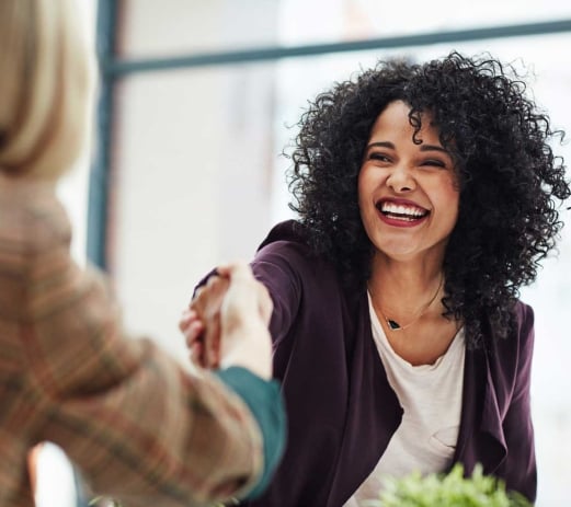 Professional Shaking Hands