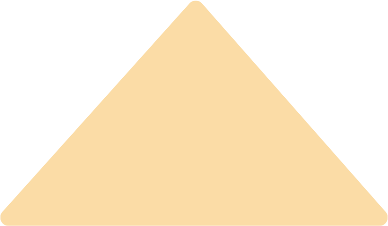 Orange Triangle 40%