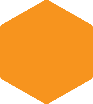 Burnt Orange Hexagon