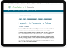 Une tablette affichant un article sur le site Web de Bayer intitulé « Palmer Amaranth Management » (Gestion de l&amp;#39;amarante de Palmer).  